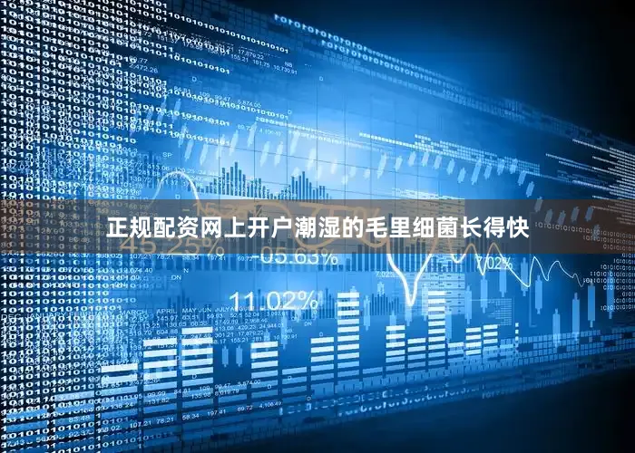 正规配资网上开户潮湿的毛里细菌长得快