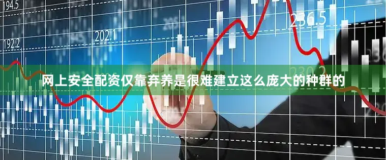 网上安全配资仅靠弃养是很难建立这么庞大的种群的
